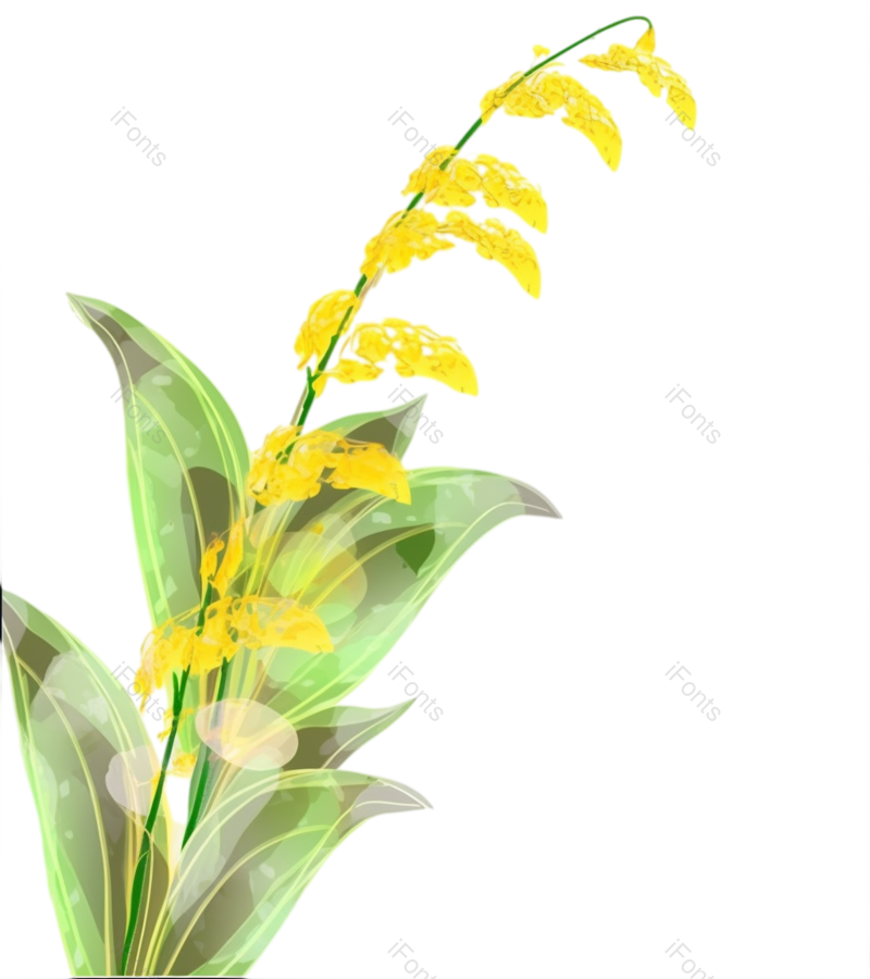 叶子图片,黄色花朵元素,绿叶PNG,黄花免抠素材
